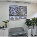 부동산플러스한국공인중개사사무소 이미지