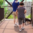 순수목장 이미지