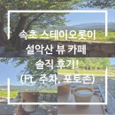 속초 스테이오롯이 설악산 뷰 카페 솔직 후기!(Ft. 주차, 포토존)