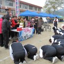 동량초등학교 이미지