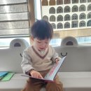 그림책감정코칭 독서회 | [책육아] 가성비전집 망고라이언 어떡해요 내돈내산 후기 / 4살·7살 형제 모두 좋아한 감정코칭 그림책