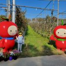 태겸농장 이미지