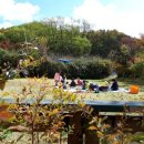 초등 감성미술 이미지