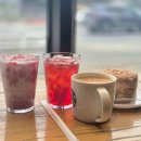 스타벅스 안성공도DT점 이미지