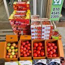 부광상회 이미지