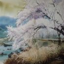 수채화1 이미지