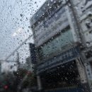 제22차 세계한인비즈니스대회 자원봉사 한비친구 후기