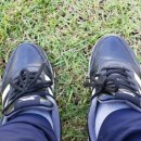 종호농장 이미지