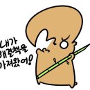 이쁘니PC 이미지