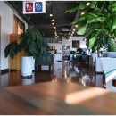 오이도 방파제 칼제비 이미지