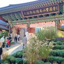 도심속에하루 | 조계사 국화축제 후기 &amp; 종로 도심 속 힐링 산책 코스