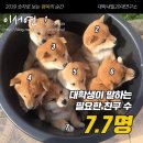 행복의순간 네이버블로그