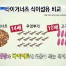 타이거푸드