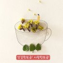 두1리마을회관 이미지