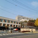 사랑방 다방 이미지