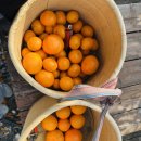 오산마트민박 이미지