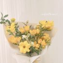 프리지아꽃집