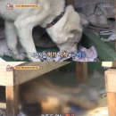 덕두농장 이미지