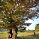 문막체육공원길 이미지