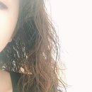 임실크헤어 네이버블로그