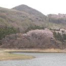 운산목장 이미지