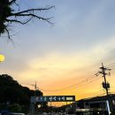 신호등장작구이 이미지