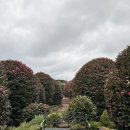 귤낭하우스커플가족모던오션뷰 이미지