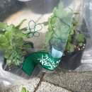 미리네농장 이미지