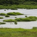 해빛6로 이미지