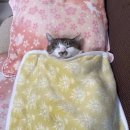 킴스메디칼 | [워홀일상]~D+613 돌아가긴 늦었고 나아가기엔 두려운 11월의 날들