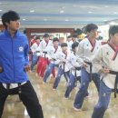 연세 태권도장 이미지