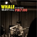 웨일(Whale) 부산공연 2013 3 1 (금) 밤7시 @전람회의그림 이미지