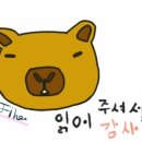 이수온누리약국 이미지