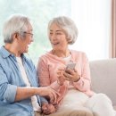 시니어펫 이미지