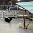 동구릉로460번길 이미지