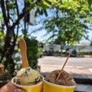 인제빌라 | 발리 신혼여행 짱구비치 블로썸에코풀빌라 근처맛집 마사지 후기