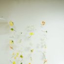 올데이 멍데이 이미지