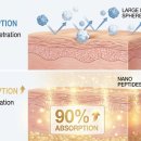 세화약품(주) 이미지