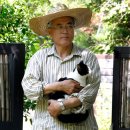 퍼스트독, 캣 이미지