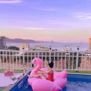 동해안로 1505 이미지