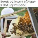 VOA 뉴스를 활용한 영어 학습 15 - 살충제와 꿀벌 감소 이미지