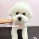 하단동174 이미지