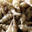 홍천노내골농장 이미지