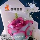 신명가낙지 티스토리