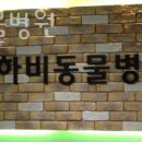 하비동물병원 이미지