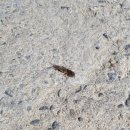 허니문모텔 이미지