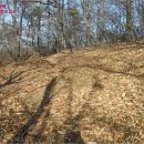 내가면-1 이미지