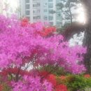 한티역약국 이미지