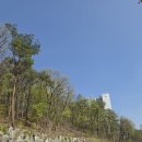 광주공원 매점 | 18개월 아들과 둘째 임산부 워킹맘 경기광주중앙공원 주말 나들이 찐 후기 주차 꿀팁 대방출