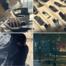 국제안감